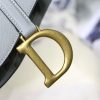 Dior saddle palm print series M9001 25.5 x 20 x 6.5 cm rock ash