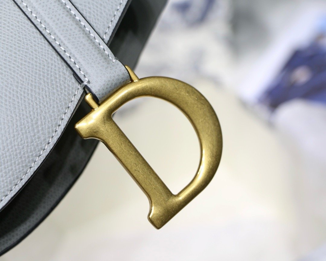 Dior saddle palm print series M9001 25.5 x 20 x 6.5 cm rock ash