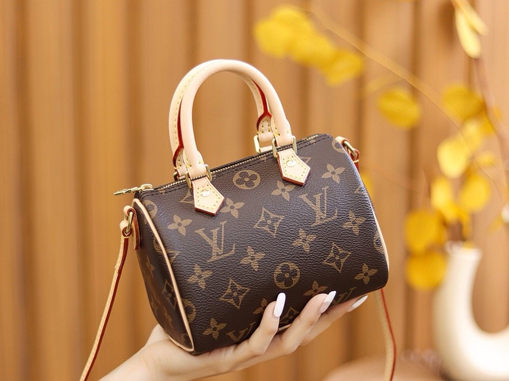 Louis Vuitton NANO SPEEDY枕头包系列 m61252