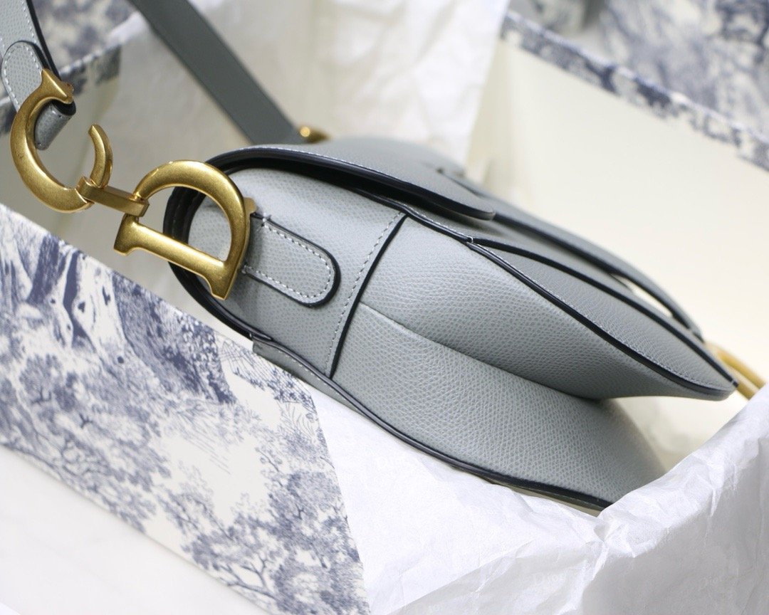 Dior saddle palm print series M9001 25.5 x 20 x 6.5 cm rock ash