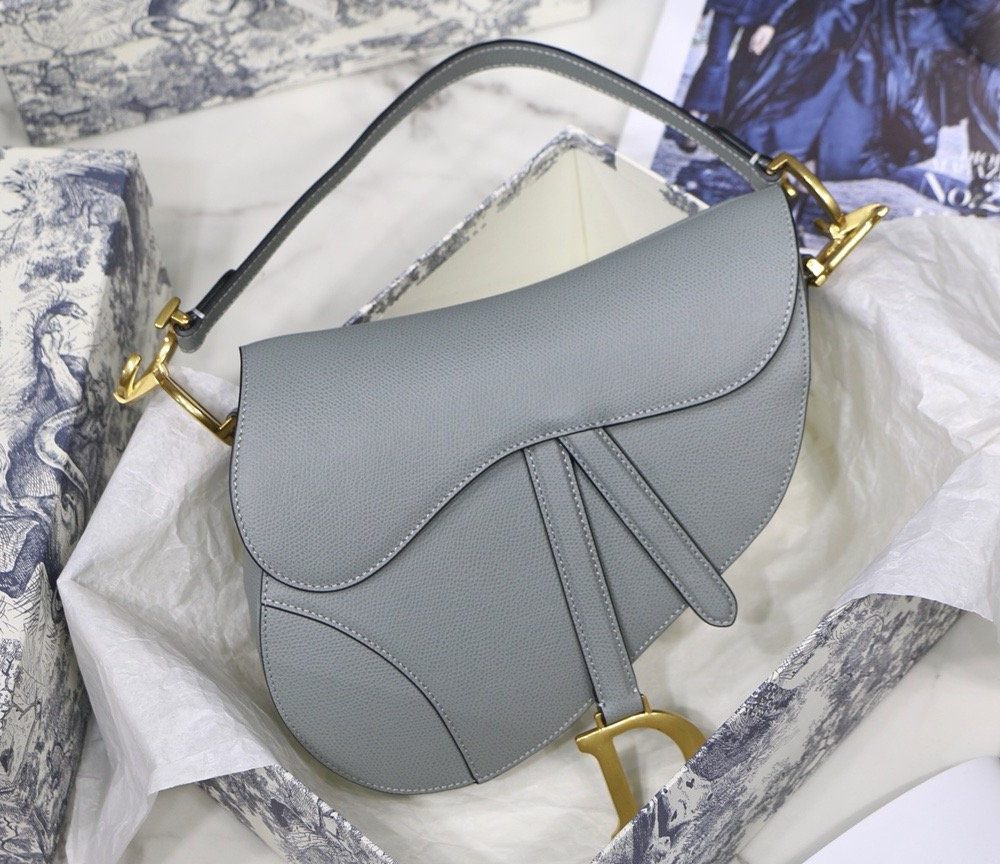 Dior saddle palm print series M9001 25.5 x 20 x 6.5 cm rock ash