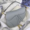 Dior saddle palm print series M9001 25.5 x 20 x 6.5 cm rock ash