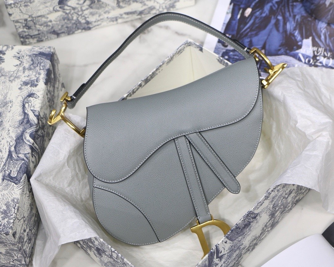 Dior saddle palm print series M9001 25.5 x 20 x 6.5 cm rock ash