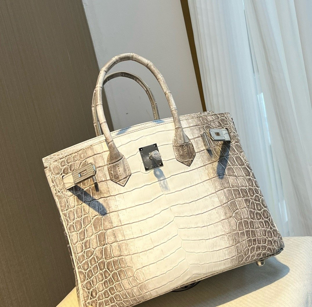 Himalaya Nile Diamond Buckle Hermès Handbag