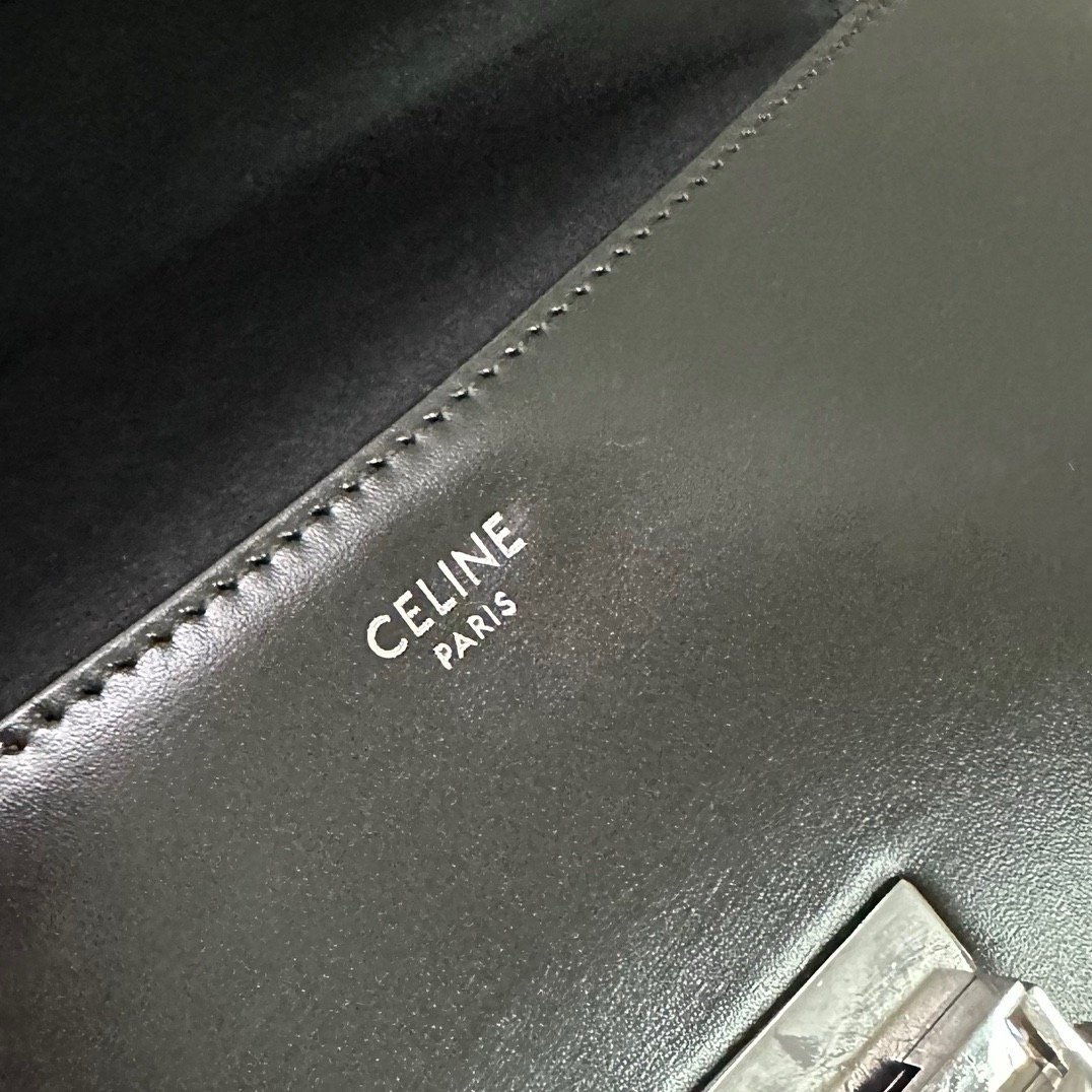 2024 CE NEW LOLA Medium Shiny Calfskin Handbag 115533