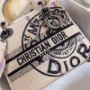 Jute embroidery Princess Diana CHRISTIAN DIOR PARIS logo