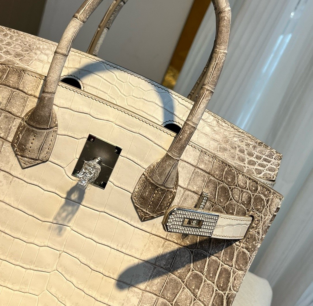 Himalaya Nile Diamond Buckle Hermès Handbag