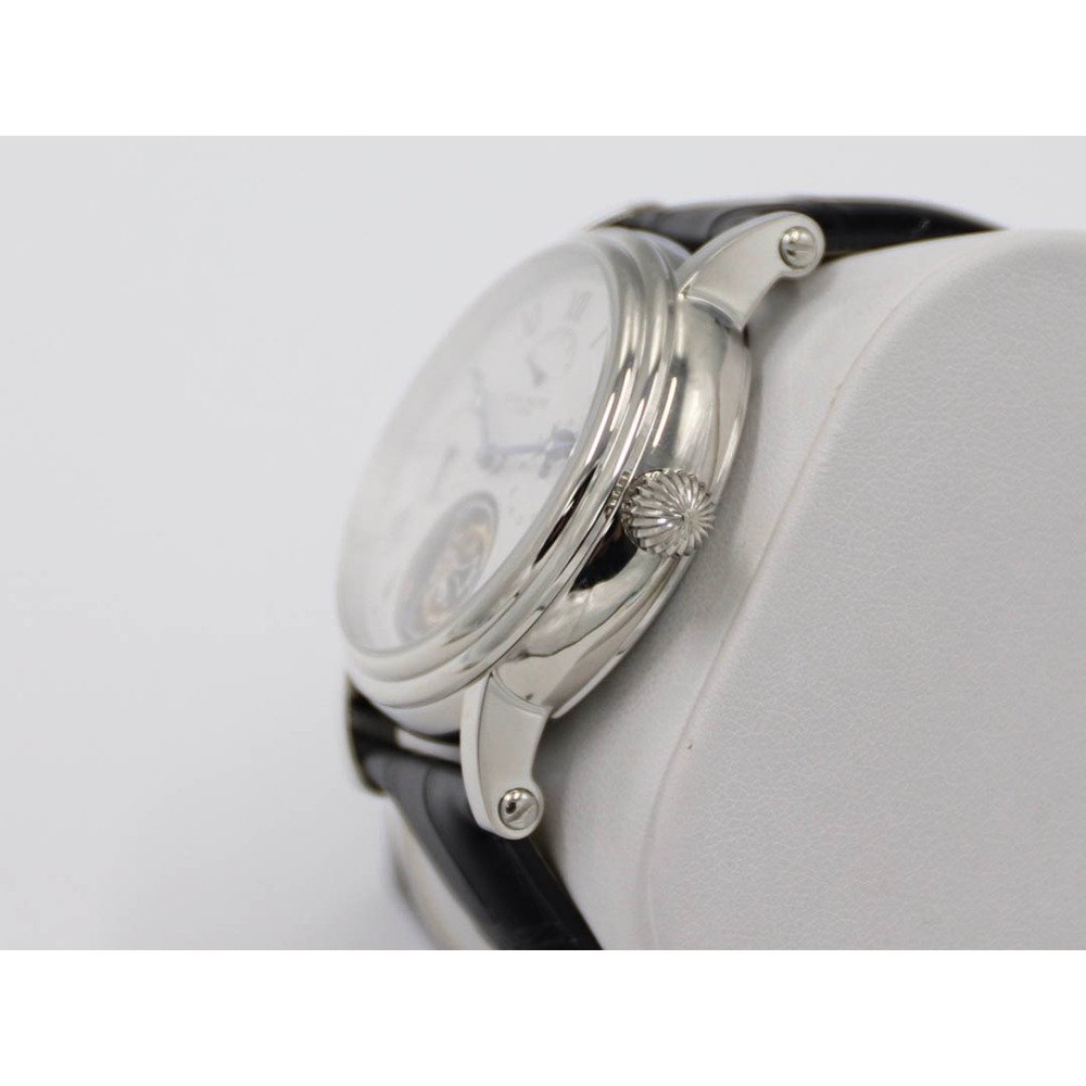 Patek Philippe Function Series Watch Diameter: 42mm