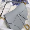 Dior saddle palm print series M9001 25.5 x 20 x 6.5 cm rock ash