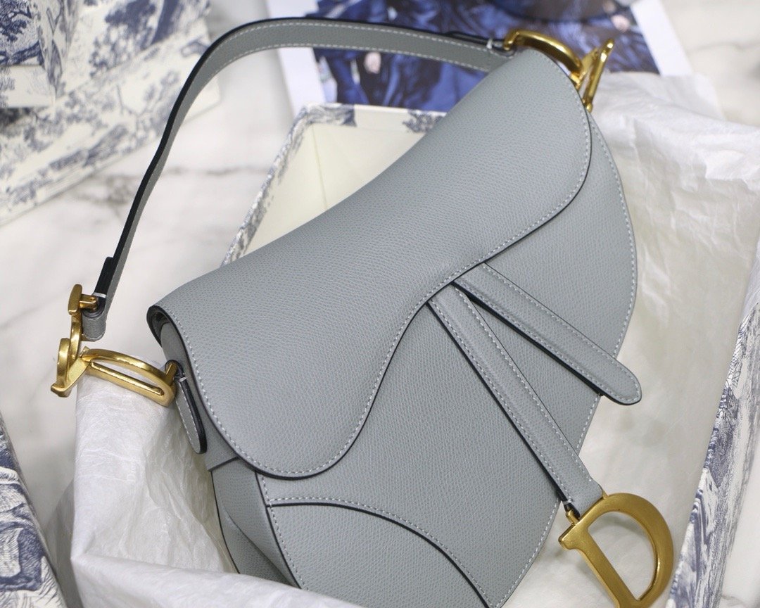 Dior saddle palm print series M9001 25.5 x 20 x 6.5 cm rock ash