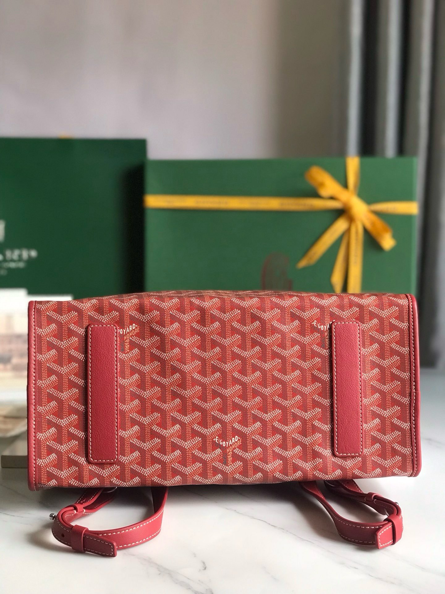 Goyard Saint Leger Folding Backpack 020191W720