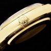 ROLEX EA1 Datejust 36mm Jewel Plate Series Watch