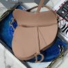 Dio.r Saddle🖤 frosted color buckle saddle bag