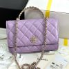 Chanel 24A Workshop hand withdrawal woc 96083W700