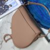 Dio.r Saddle🖤 frosted color buckle saddle bag