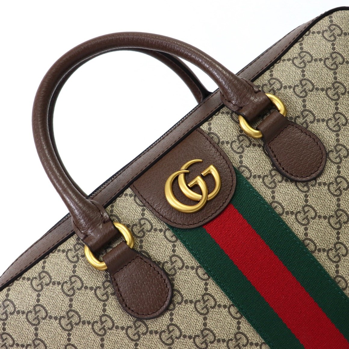 Ophidia Series Briefcase