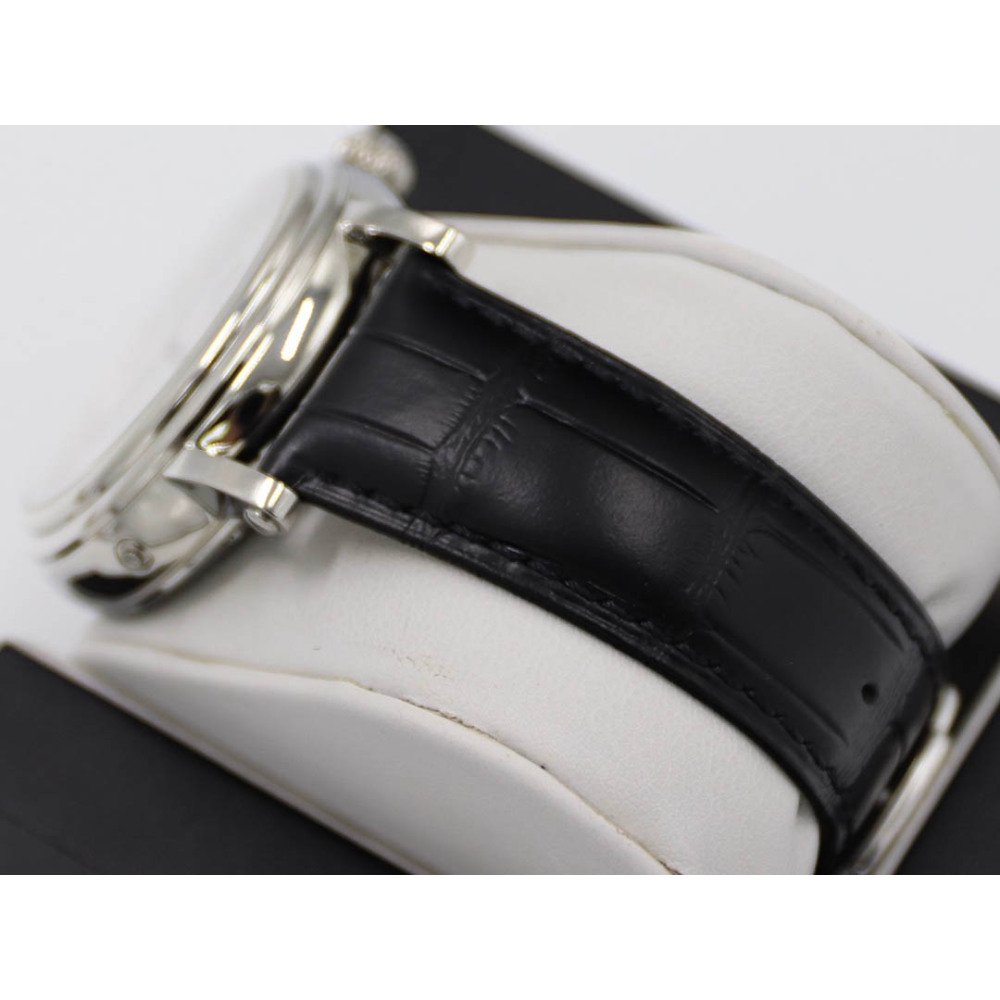 Patek Philippe Function Series Watch Diameter: 42mm
