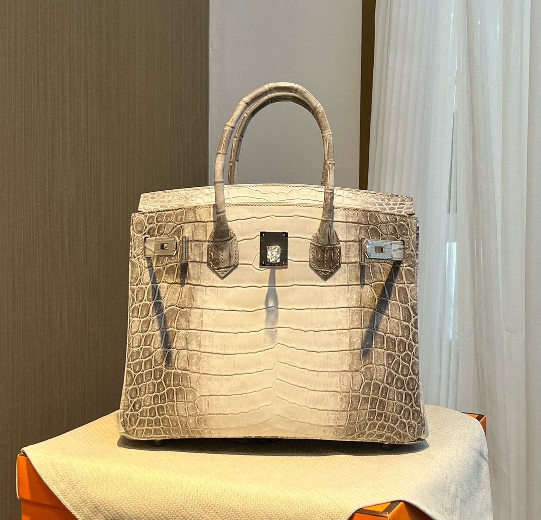 Himalaya Nile Diamond Buckle Hermès Handbag
