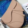 Dio.r Saddle🖤 frosted color buckle saddle bag