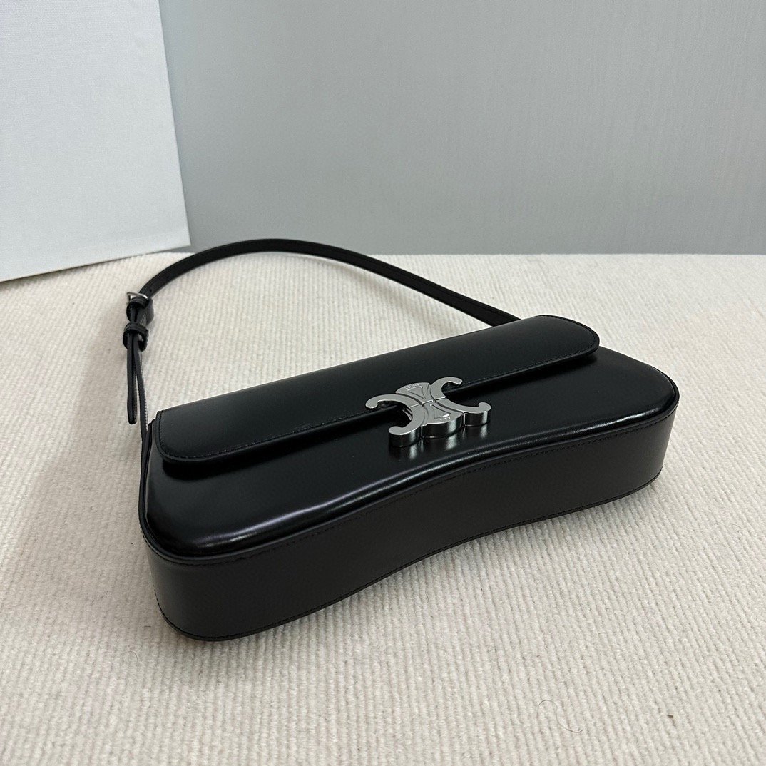 2024 CE NEW LOLA Medium Shiny Calfskin Handbag 115533