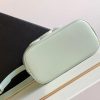 CEL1N_E CUIR TRIOMPHE Mini Smooth Cowhide Bucket Bag Light Green 19.5 X 16 X 7 cm