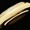 ROLEX EA1 Datejust 36mm Jewel Plate Series Watch
