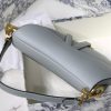 Dior saddle palm print series M9001 25.5 x 20 x 6.5 cm rock ash