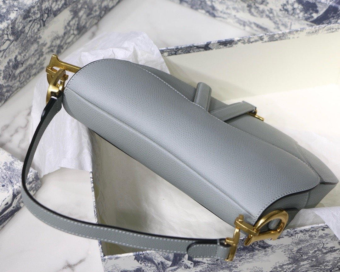 Dior saddle palm print series M9001 25.5 x 20 x 6.5 cm rock ash