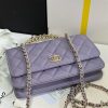 Chanel 24A Workshop hand withdrawal woc 96083W700