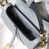 Dior saddle palm print series M9001 25.5 x 20 x 6.5 cm rock ash