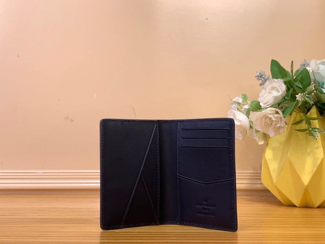 LV aerogram leather grainy mocha wallet