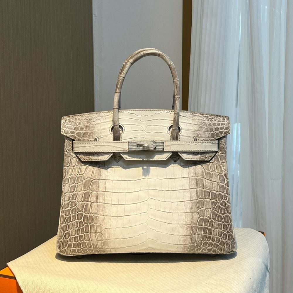 Himalaya Nile Diamond Buckle Hermès Handbag