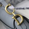Dior saddle palm print series M9001 25.5 x 20 x 6.5 cm rock ash