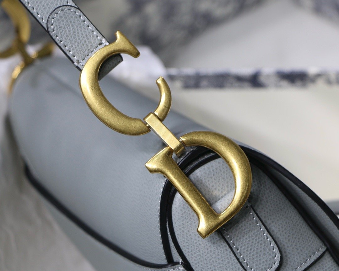 Dior saddle palm print series M9001 25.5 x 20 x 6.5 cm rock ash