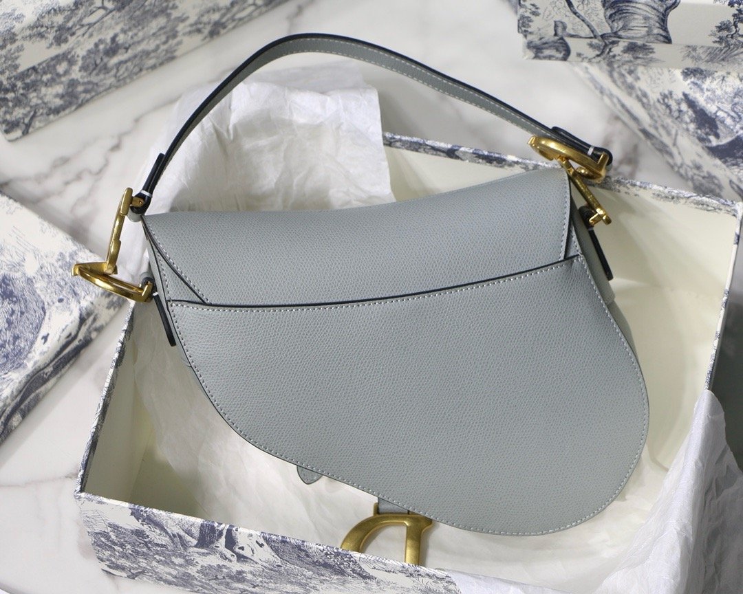 Dior saddle palm print series M9001 25.5 x 20 x 6.5 cm rock ash