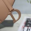 Dio.r Saddle🖤 frosted color buckle saddle bag