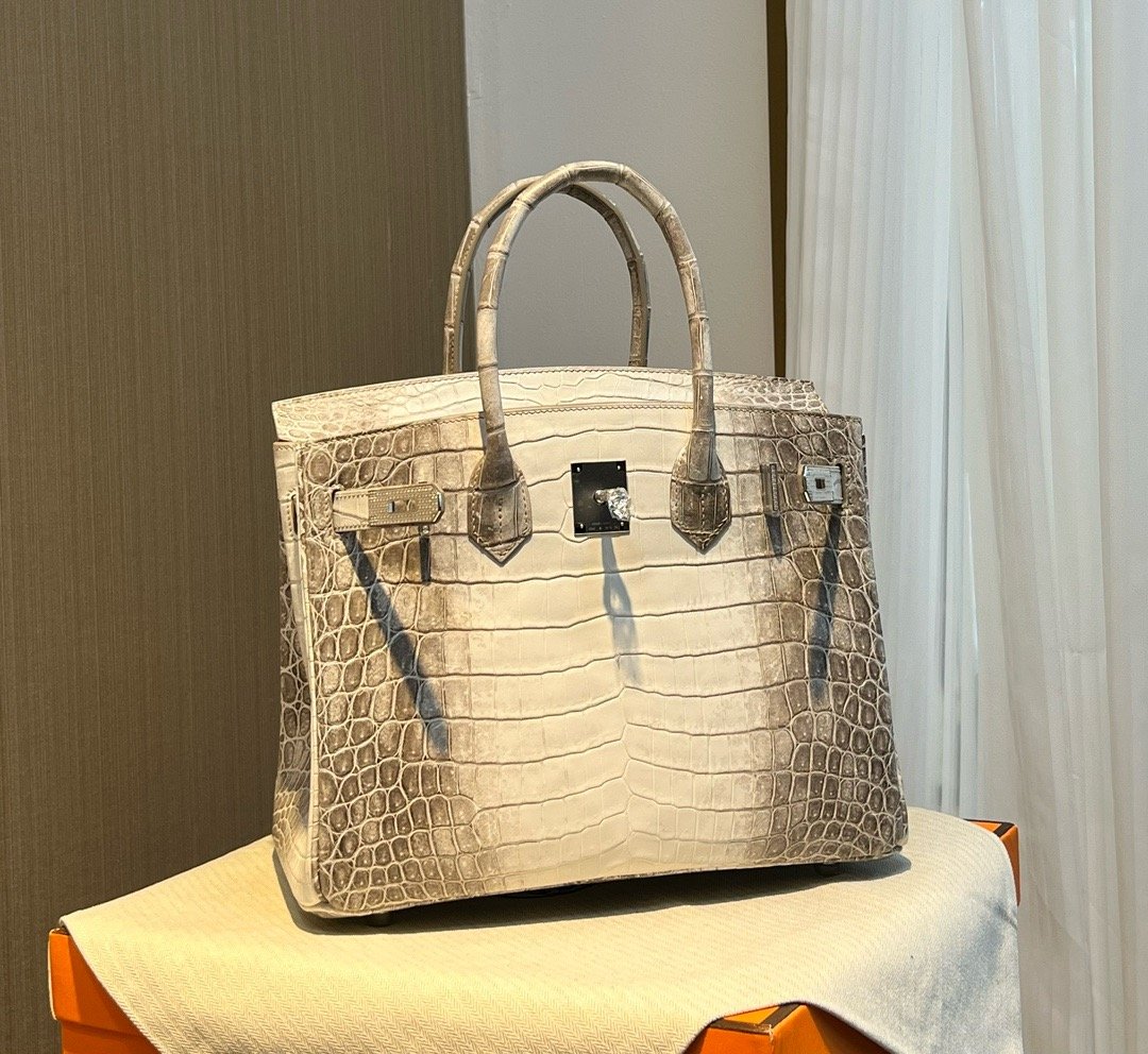 Himalaya Nile Diamond Buckle Hermès Handbag
