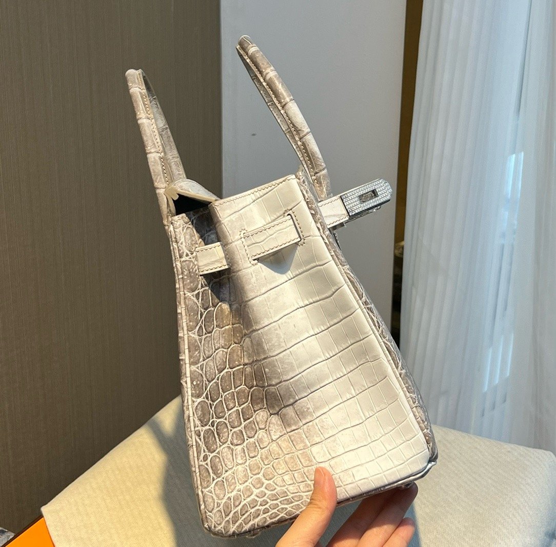 Himalaya Nile Diamond Buckle Hermès Handbag
